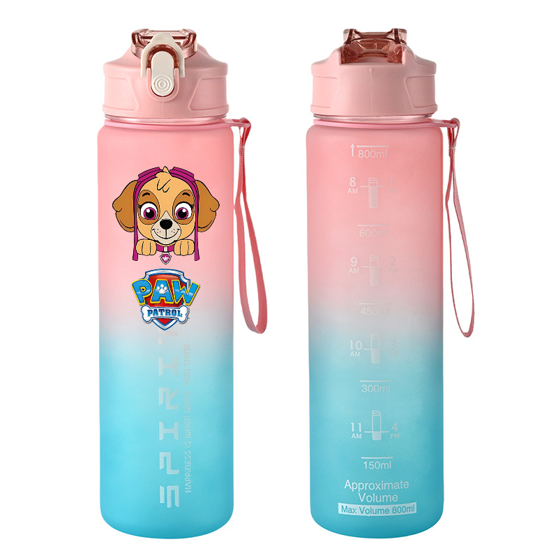 800 ml PAW Patrol Sportwasserf – Kids Outdoor Water Bewertung und Preis