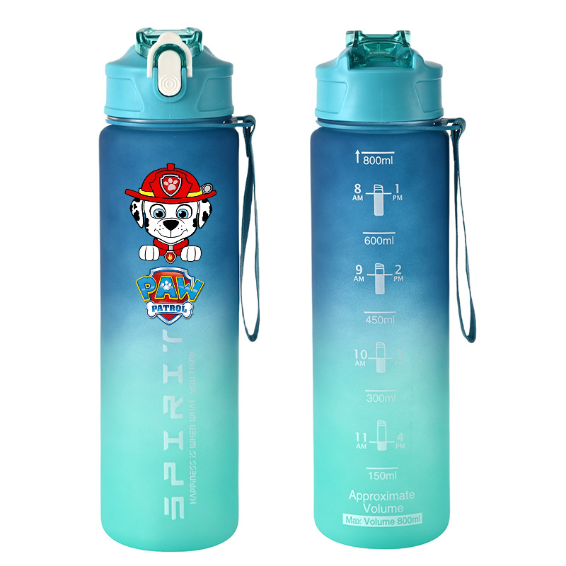 800 ml PAW Patrol Sportwasserf – Kids Outdoor Water Bewertung und Preis