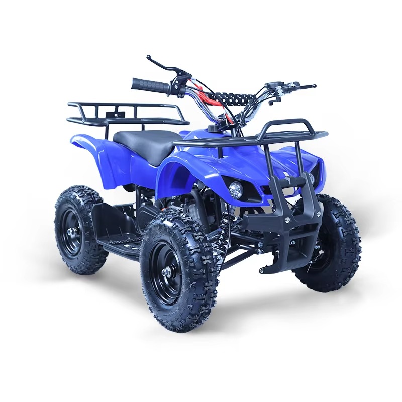49cc Mini ATV Kinder-Quad 2-Ta – Kids Outdoor Ride On Bewertung und Preis