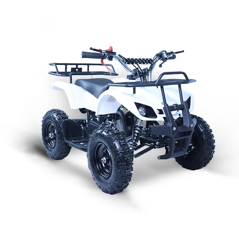 49cc Mini ATV Kinder-Quad 2-Ta – Kids Outdoor Ride On Bewertung und Preis