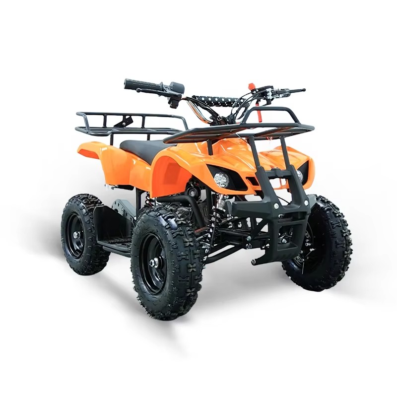 49cc Mini ATV Kinder-Quad 2-Ta – Kids Outdoor Ride On Bewertung und Preis