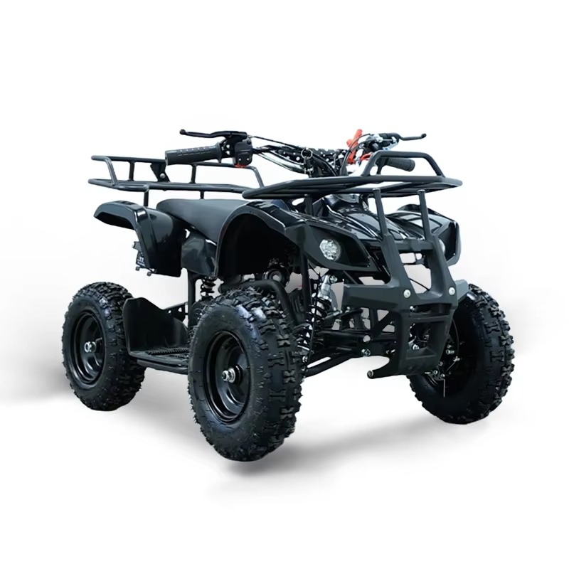 49cc Mini ATV Kinder-Quad 2-Ta – Kids Outdoor Ride On Bewertung und Preis